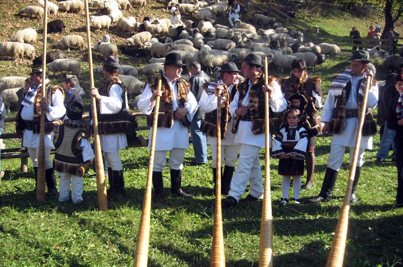 bucovina