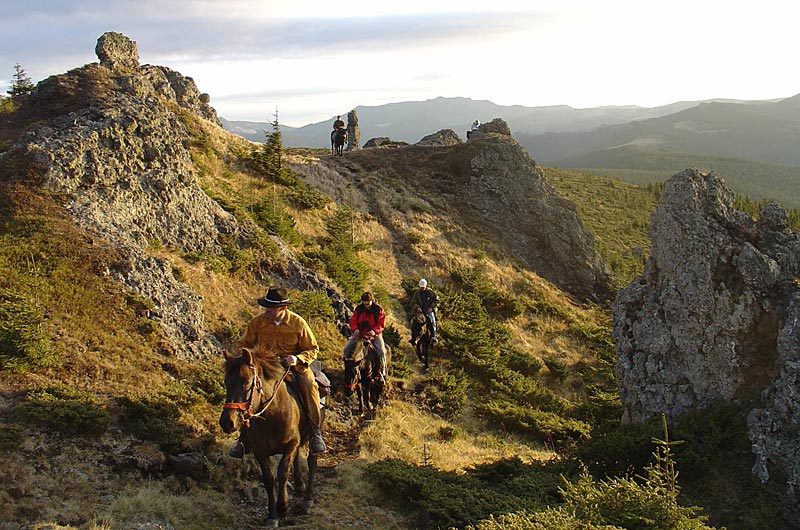 bucovina