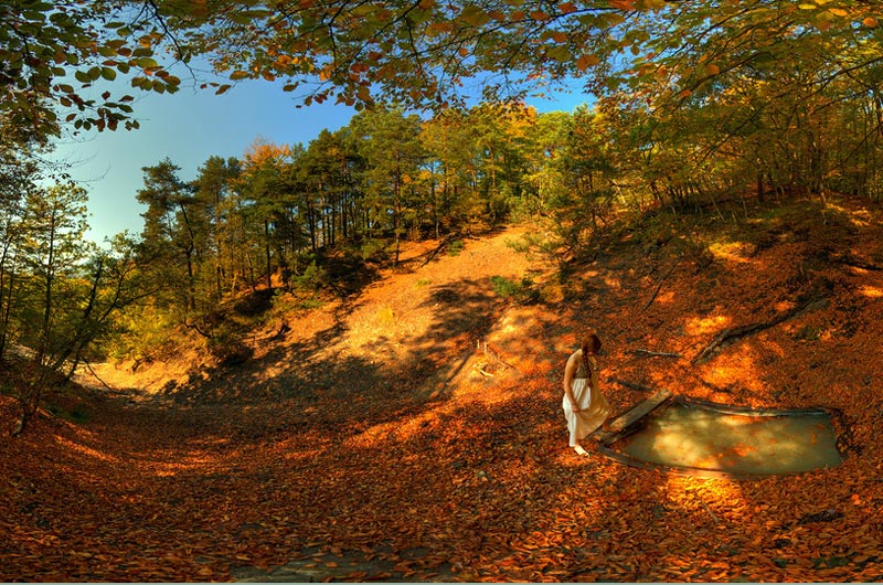 covasna