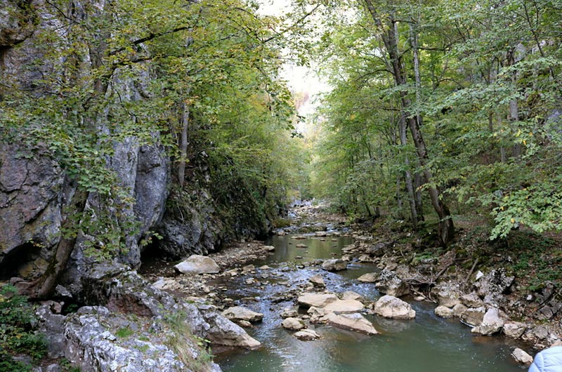 covasna
