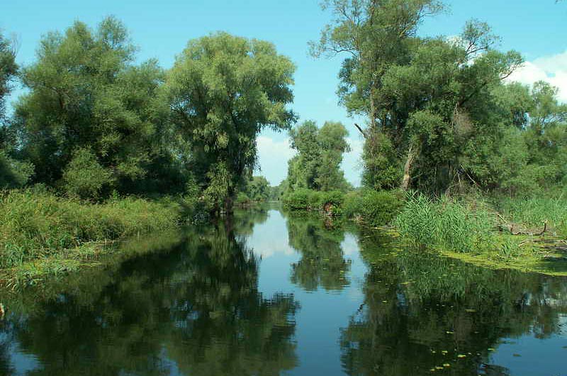 delta