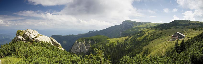 Neamț Neamț