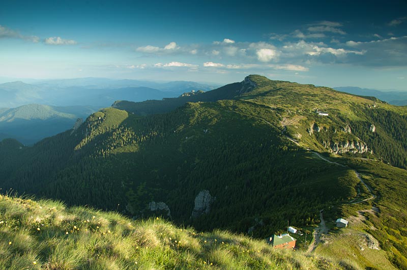 neamt