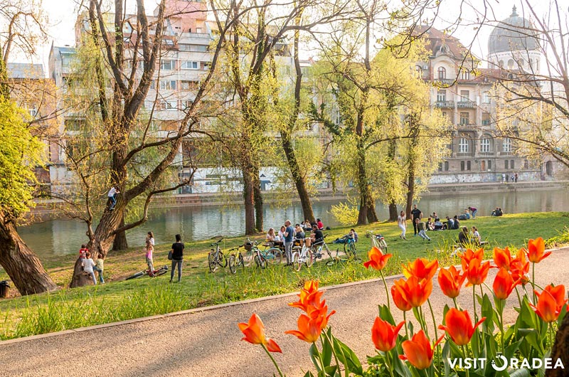 oradea