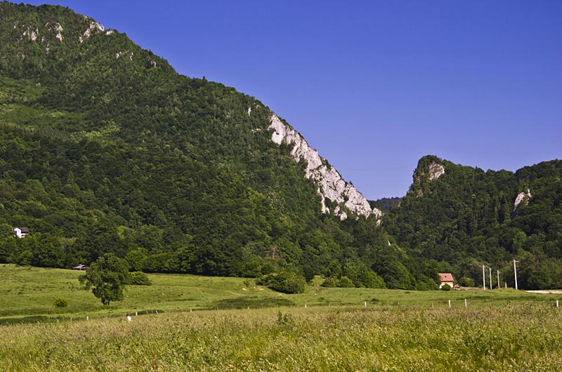 rasnov