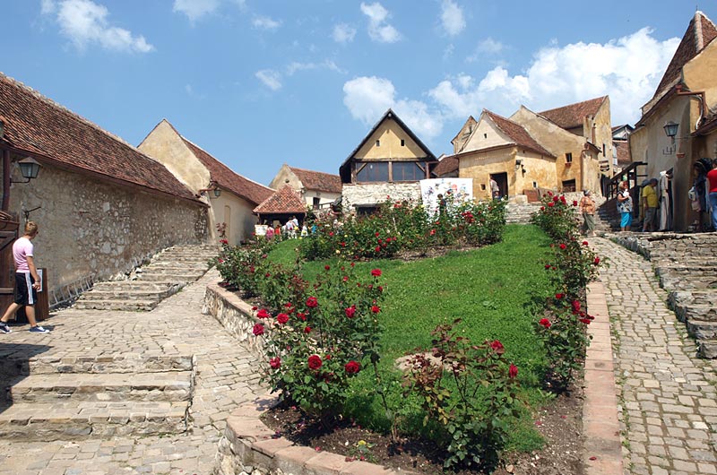 rasnov